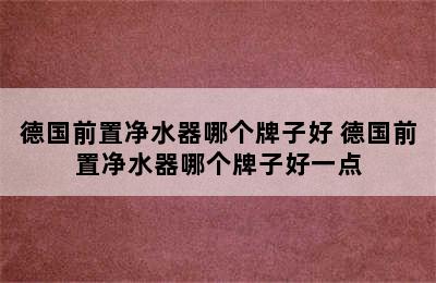 德国前置净水器哪个牌子好 德国前置净水器哪个牌子好一点